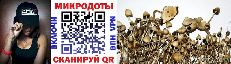 дарнет шоп  Хадыженск  даркнет клад  Галлюциногенные грибы Cubensis 