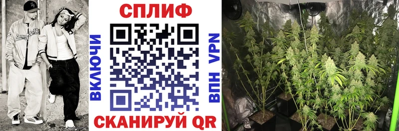 МАРИХУАНА планчик  Хадыженск 